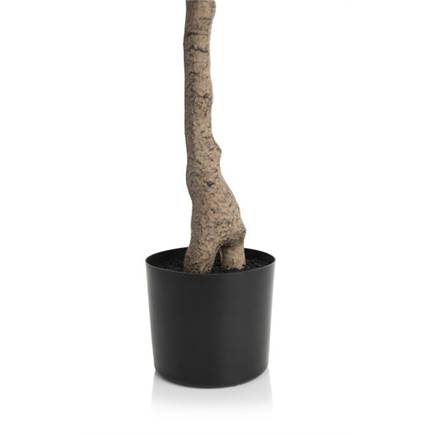 Coco Maison Olive Tree H150cm kunstplant